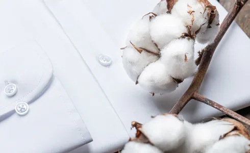 The Secret of a Naturally Stretch Shirt