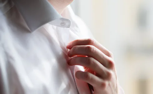Who produces the finest cotton fabrics?