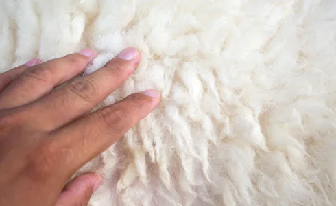 Different types of wool and how we use them