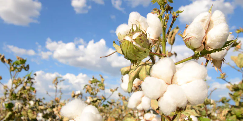 What is mercerised cotton?